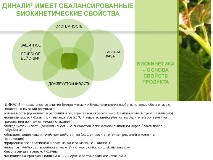 ДИНАЛИ® ИМЕЕТ СБАЛАНСИРОВАННЫЕ БИОКИНЕТИЧЕСКИЕ СВОЙСТВА БИОКИНЕТИКА – ОСНОВА СВОЙСТВ ПРОДУКТА ДИНАЛИ —