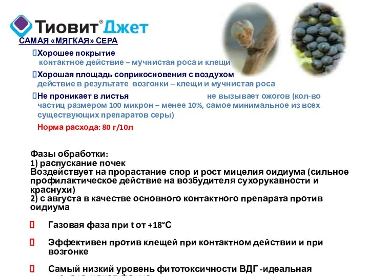 Фазы обработки: 1) распускание почек Воздействует на прорастание спор и рост мицелия