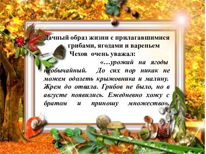 Дачный образ жизни с прилагавшимися грибами, ягодами и вареньем Чехов очень уважал: