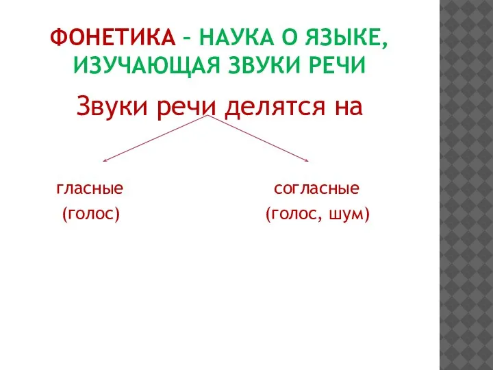 ФОНЕТИКА – НАУКА О ЯЗЫКЕ, ИЗУЧАЮЩАЯ ЗВУКИ РЕЧИ Звуки речи делятся на