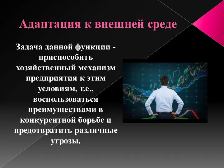 Адаптация к внешней среде Задача данной функции - приспособить хозяйственный механизм предприятия