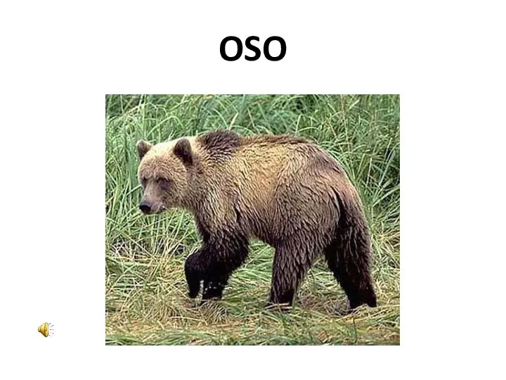 OSO