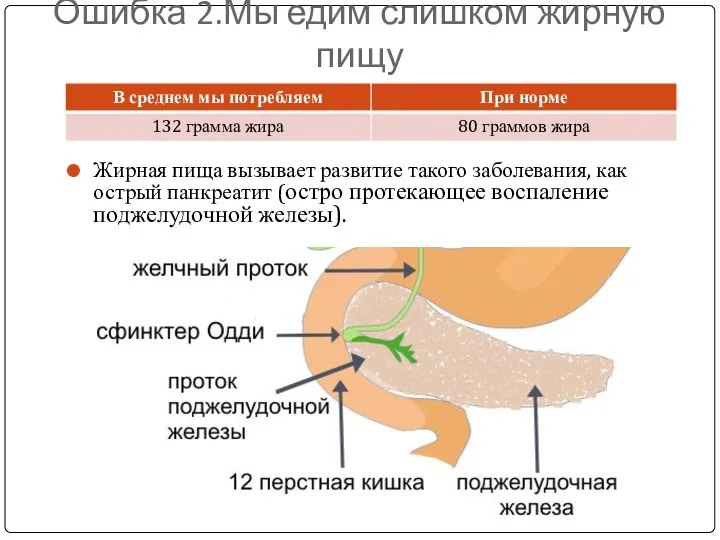 Ошибка 2.Мы едим слишком жирную пищу Жирная пища вызывает развитие такого заболевания,