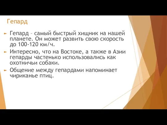 Гепард Гепард – самый быстрый хищник на нашей планете. Он может развить