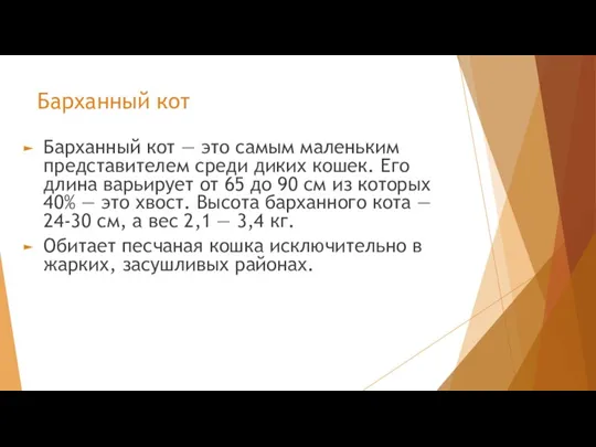 Барханный кот Барханный кот — это самым маленьким представителем среди диких кошек.