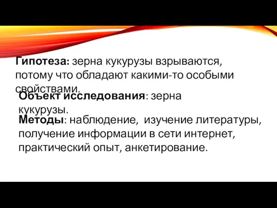 Гипотеза: зерна кукурузы взрываются, потому что обладают какими-то особыми свойствами. Объект исследования: