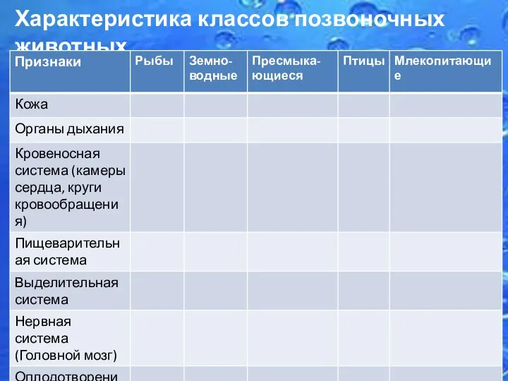 Характеристика классов позвоночных животных