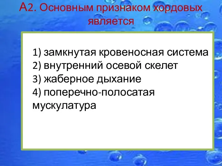 А2. Основным признаком хордовых является 1) замкнутая кровеносная система 2) внутренний осевой