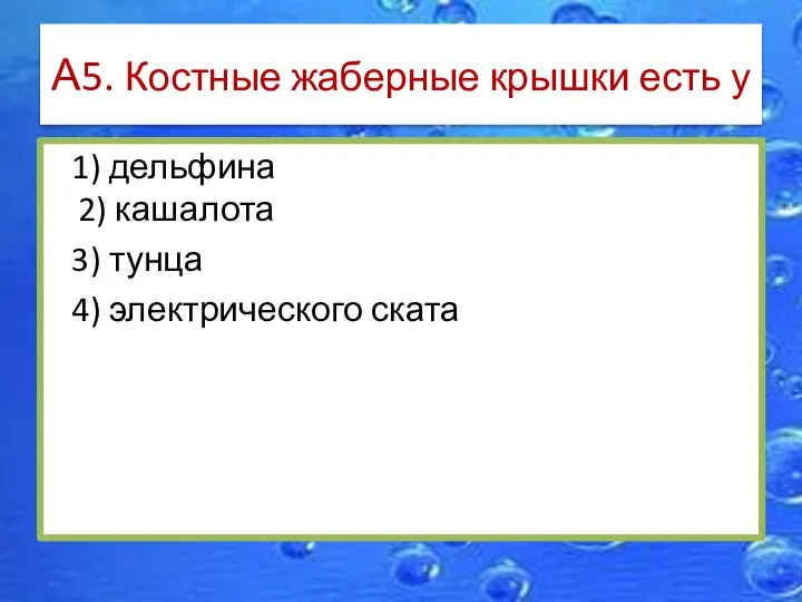 А5. Костные жаберные крышки есть у 1) дельфина 2) кашалота 3) тунца 4) электрического ската