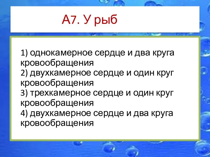 А7. У рыб 1) однокамерное сердце и два круга кровообращения 2) двухкамерное