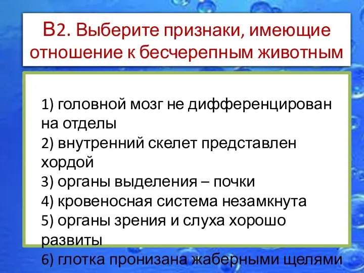 В2. Выберите признаки, имеющие отношение к бесчерепным животным 1) головной мозг не