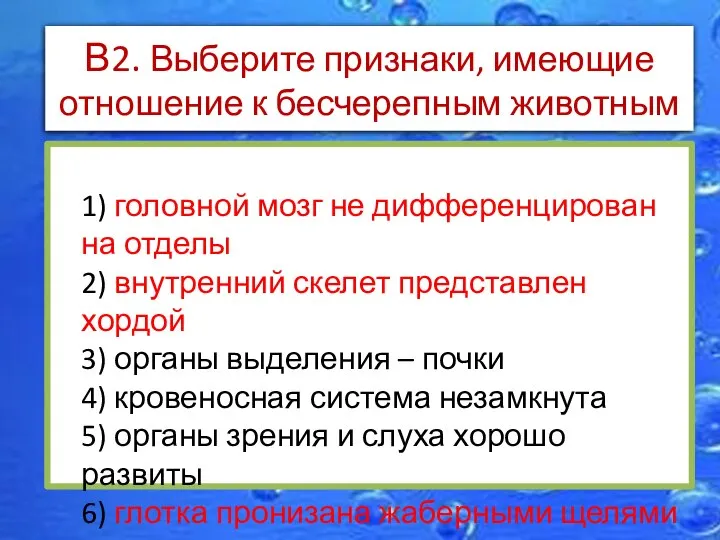 В2. Выберите признаки, имеющие отношение к бесчерепным животным 1) головной мозг не