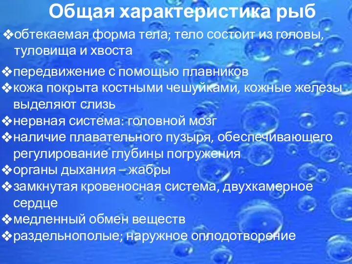 Общая характеристика рыб обтекаемая форма тела; тело состоит из головы, туловища и