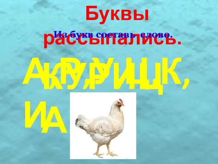 Буквы рассыпались. Из букв составь слово. А,Р,У,Ц,К,И КУРИЦА