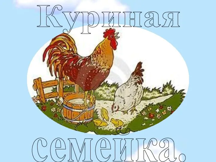 Куриная семейка.