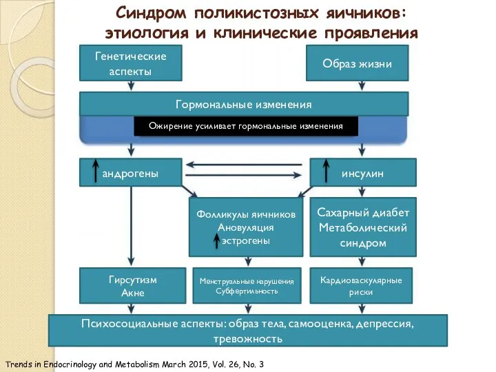 Синдром поликистозных яичников: этиология и клинические проявления Trends in Endocrinology and Metabolism