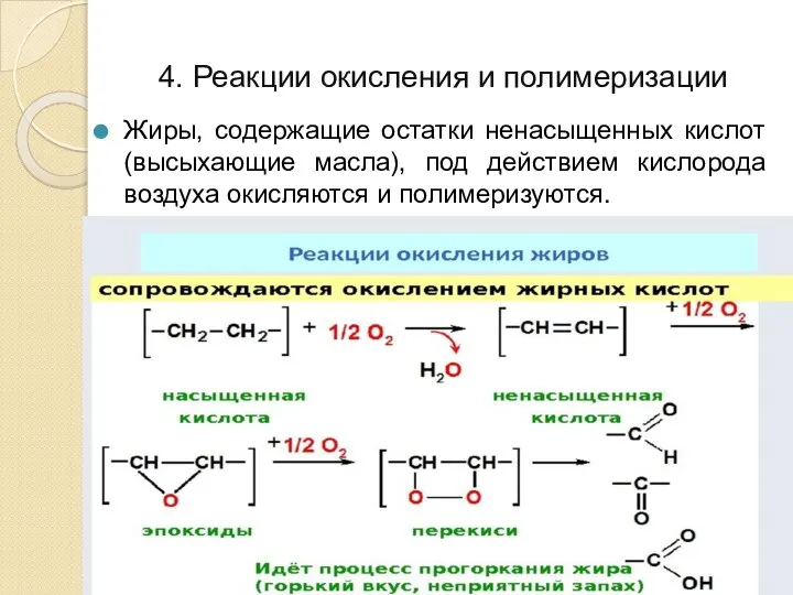 4. Реакции окисления и полимеризации Жиры, содержащие остатки ненасыщенных кислот (высыхающие масла),