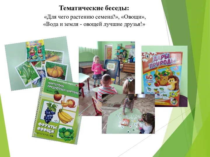 Тематические беседы: «Для чего растению семена?», «Овощи», «Вода и земля - овощей лучшие друзья!»