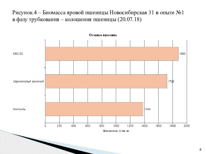 Рисунок.4 – Биомасса яровой пшеницы Новосибирская 31 в опыте №1 в фазу