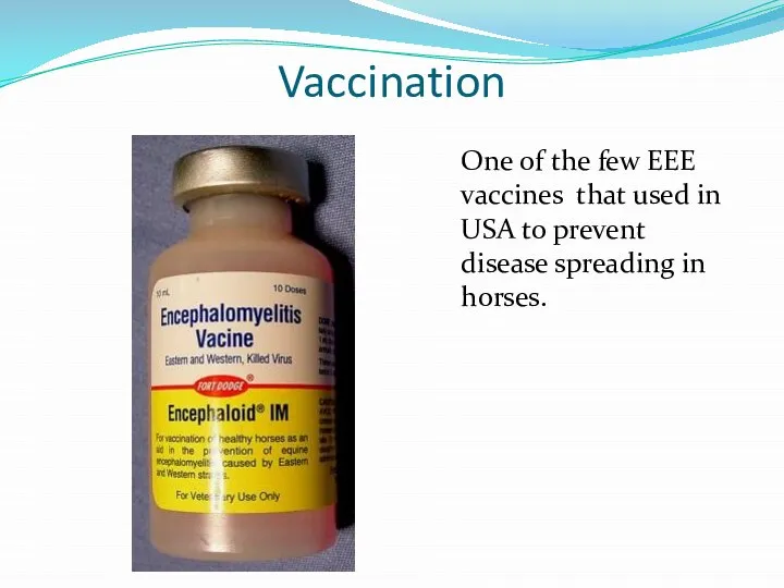 Vaccination One of the few EEE vaccines that used in USA to