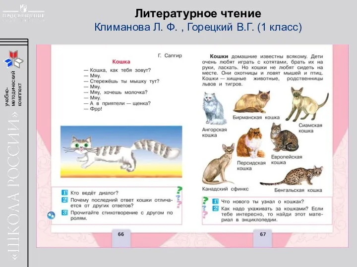 Литературное чтение Климанова Л. Ф. , Горецкий В.Г. (1 класс)