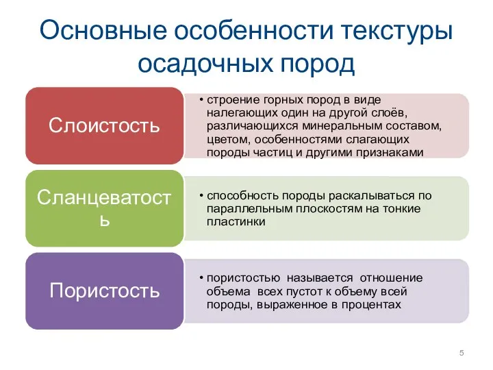 Основные особенности текстуры осадочных пород