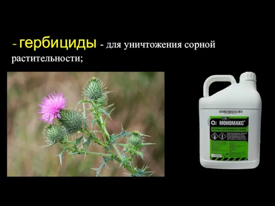 - гербициды - для уничтожения сорной растительности;