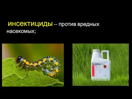 инсектициды -- против вредных насекомых;