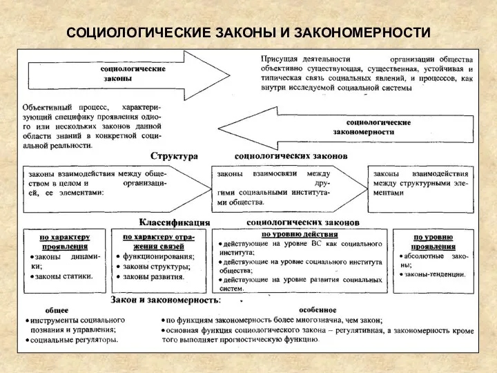 СОЦИОЛОГИЧЕСКИЕ ЗАКОНЫ И ЗАКОНОМЕРНОСТИ