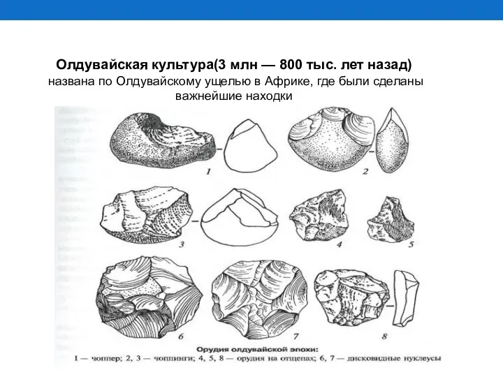 Олдувайская культура(3 млн — 800 тыс. лет назад) названа по Олдувайскому ущелью