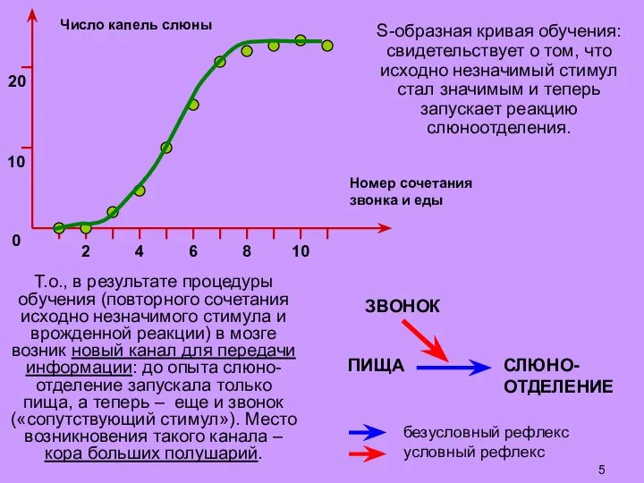 S-образная кривая обучения: свидетельствует о том, что исходно незначимый стимул стал значимым