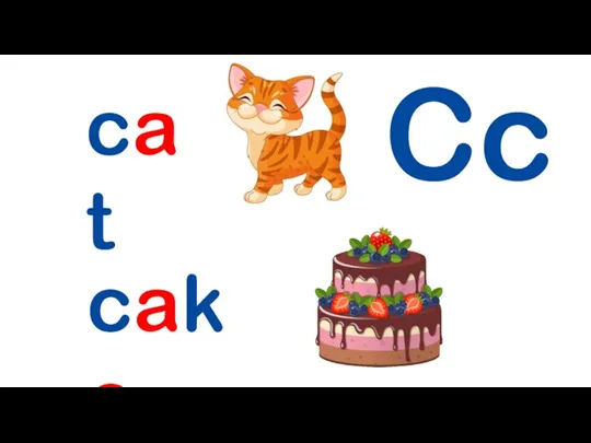 Cc cat cake