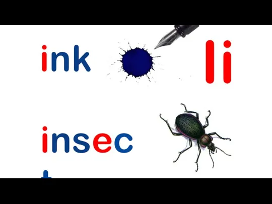 Ii ink insect