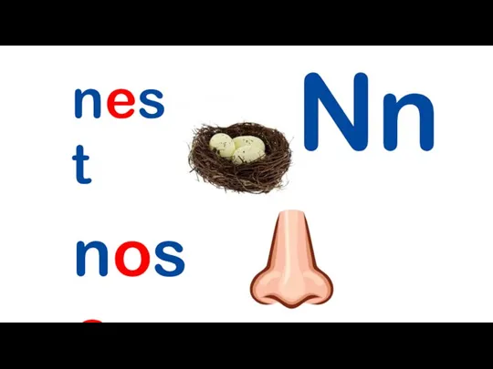 Nn nest nose