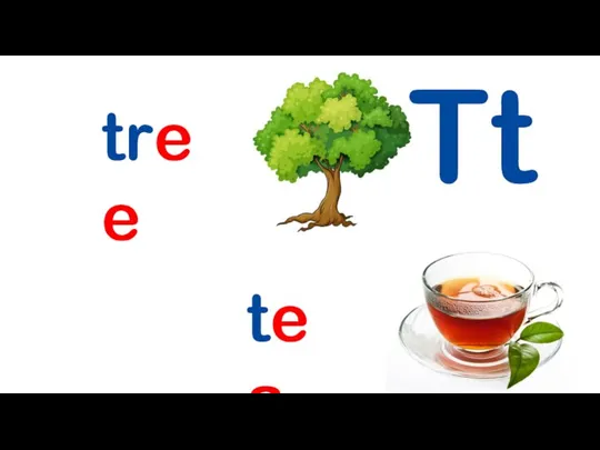 Tt tree tea