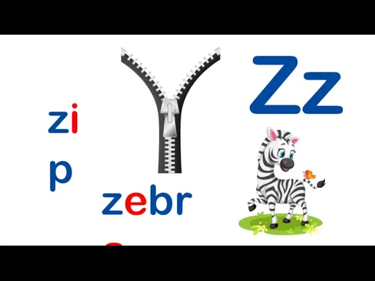 Zz zip zebra