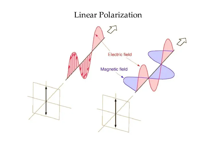 Linear Polarization