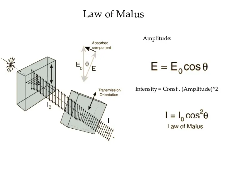 Law of Malus Amplitude: Intensity = Const . (Amplitude)^2