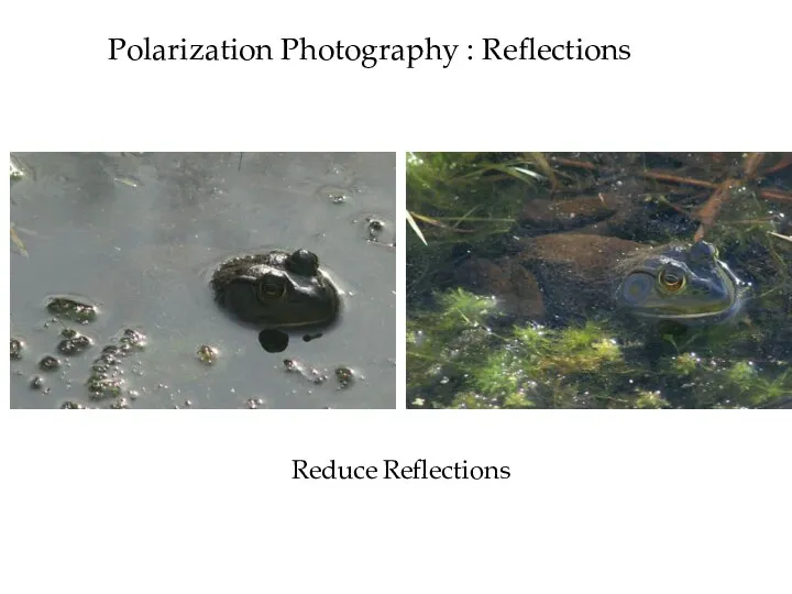 Polarization Photography : Reflections Reduce Reflections