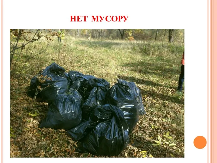 нет мусору