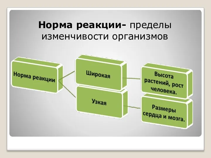 Норма реакции- пределы изменчивости организмов