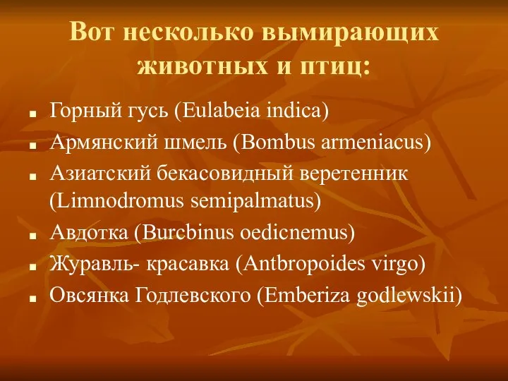 Вот несколько вымирающих животных и птиц: Горный гусь (Eulabeia indica) Армянский шмель