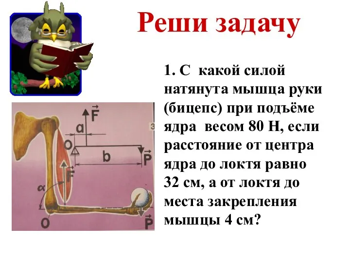 Реши задачу 1. С какой силой натянута мышца руки (бицепс) при подъёме