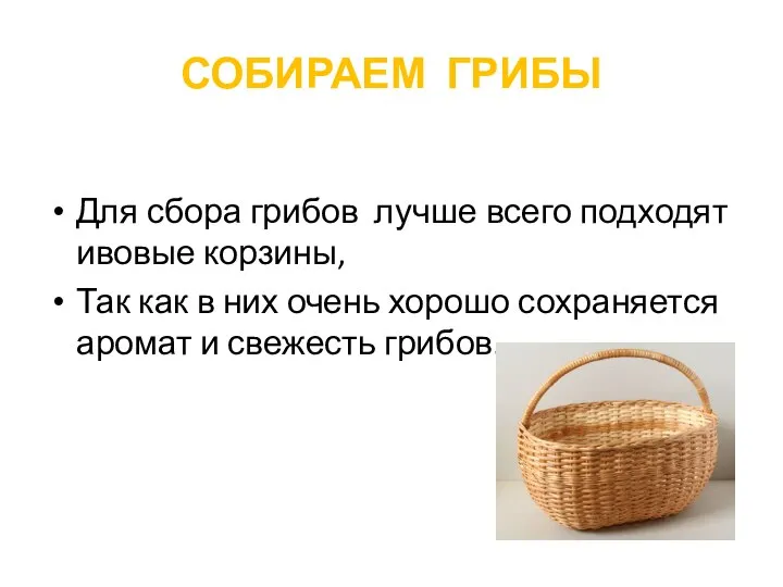 СОБИРАЕМ ГРИБЫ Для сбора грибов лучше всего подходят ивовые корзины, Так как