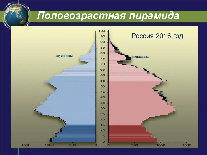 Половозрастная пирамида Россия 2016 год