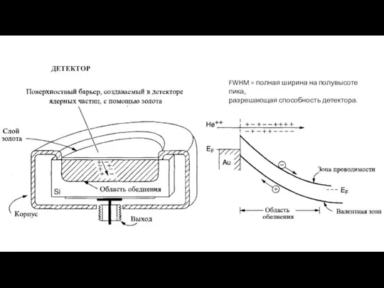 ДЕТЕКТОР FWHM = полная ширина на полувысоте пика, разрешающая способность детектора.