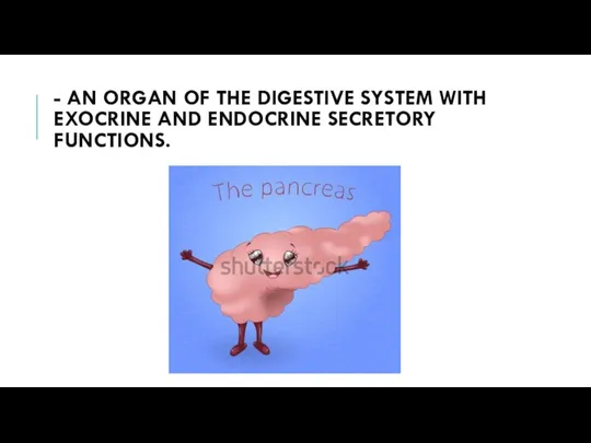 - AN ORGAN OF THE DIGESTIVE SYSTEM WITH EXOCRINE AND ENDOCRINE SECRETORY FUNCTIONS.