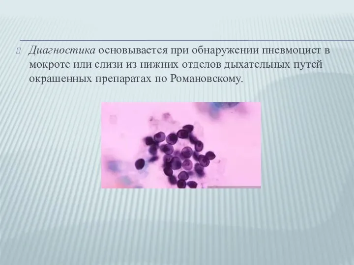 Диагностика основывается при обнаружении пневмоцист в мокроте или слизи из нижних отделов