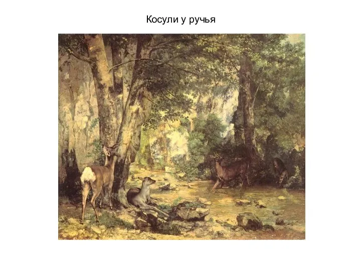 Косули у ручья