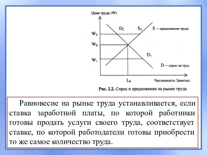 Равновесие на рынке труда устанавливается, если ставка заработной платы, по которой работники